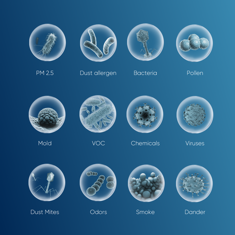 Blueair Pollutants Captured by CP7i Particle + Carbon Filter